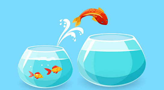 weblog